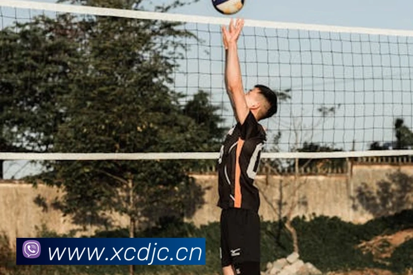 九游网页版入口网址品牌故事