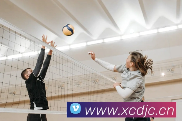 九游网页版入口网址服务体系